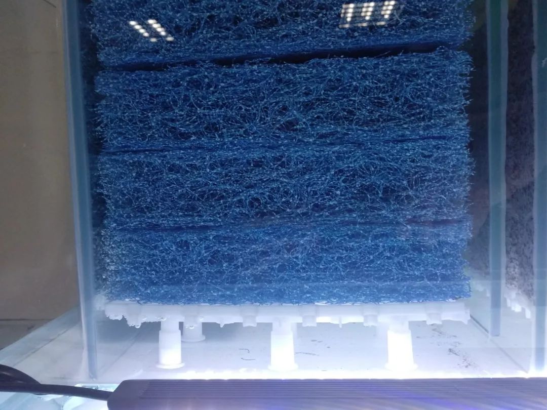 大神「鱼勇」DIY一缸多用“直播”教程，好缸无需再等