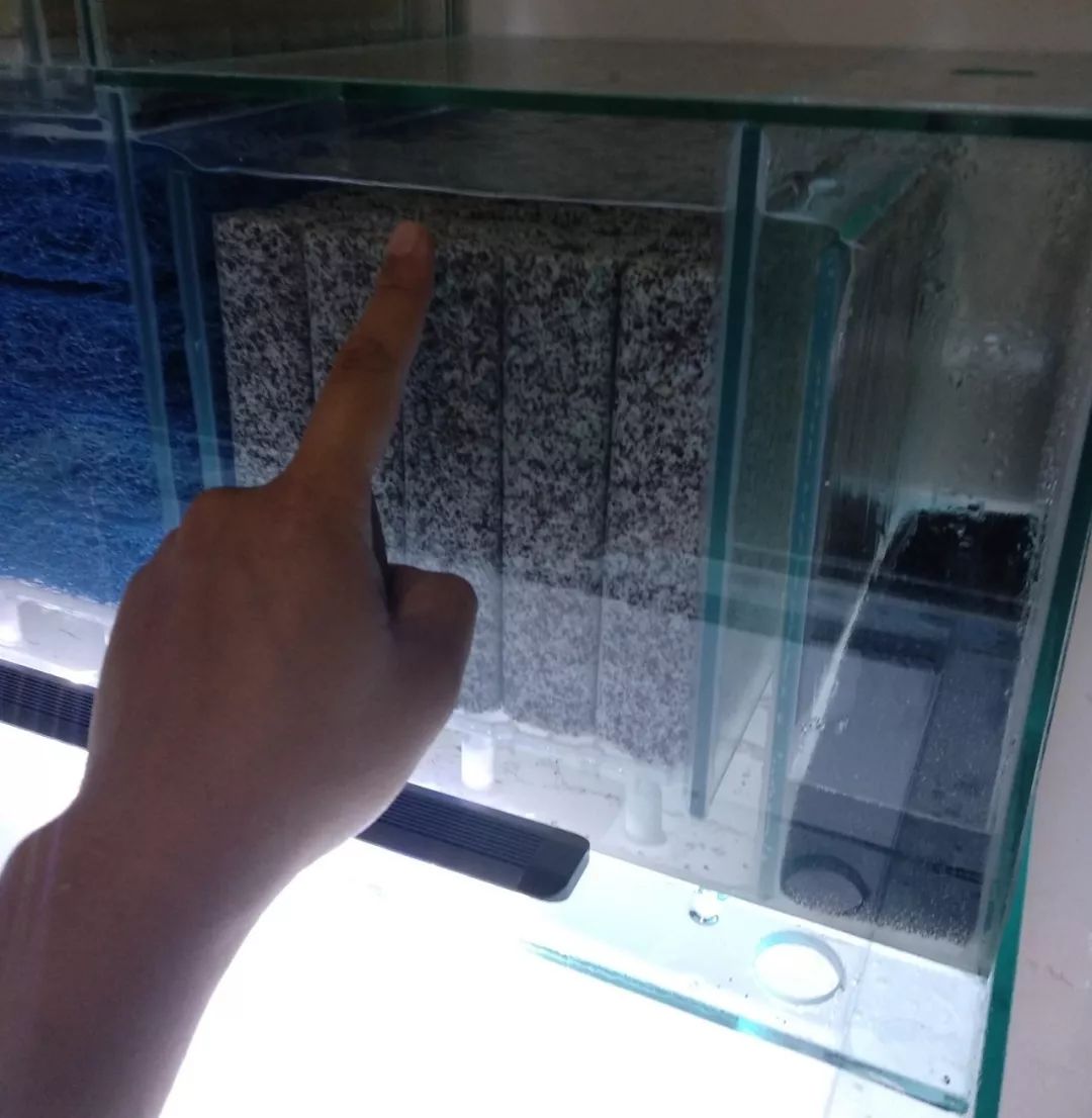 大神「鱼勇」DIY一缸多用“直播”教程，好缸无需再等