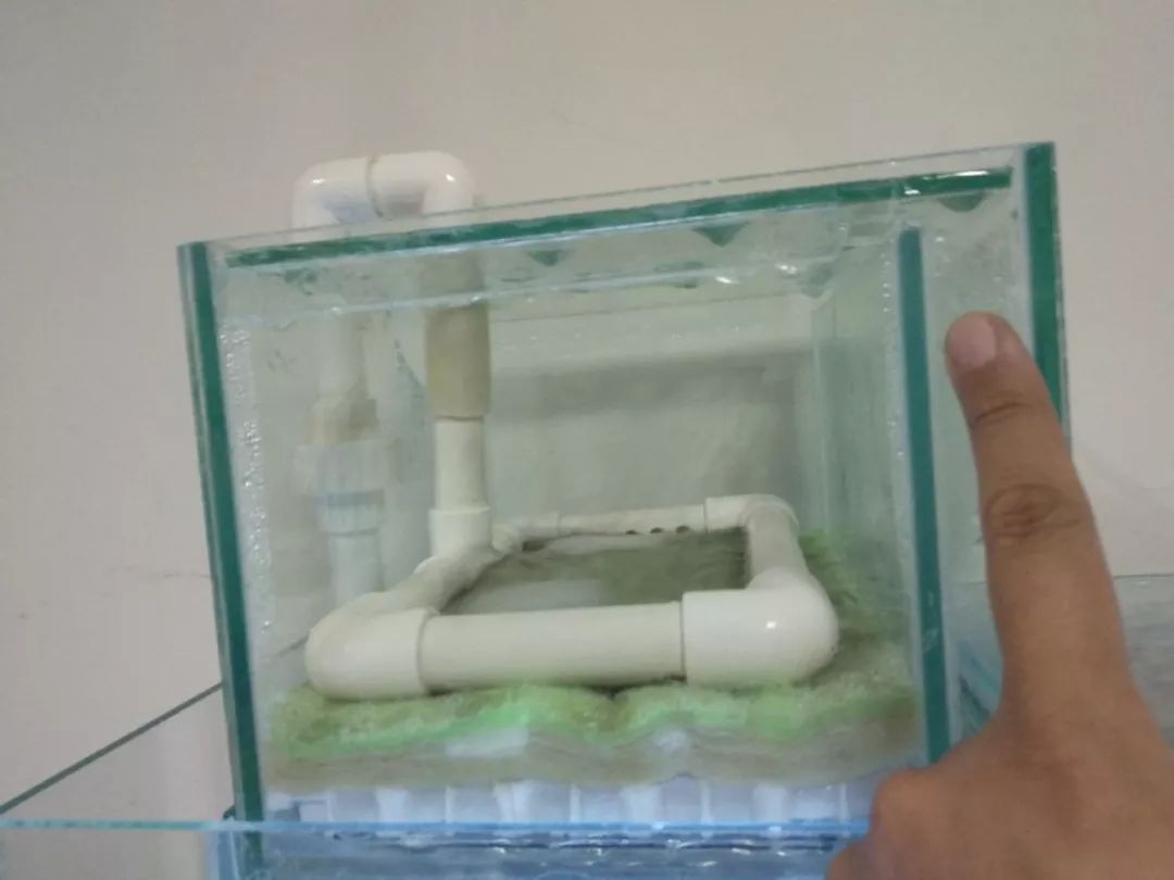 大神「鱼勇」DIY一缸多用“直播”教程，好缸无需再等