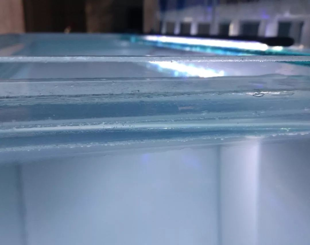 大神「鱼勇」DIY一缸多用“直播”教程，好缸无需再等