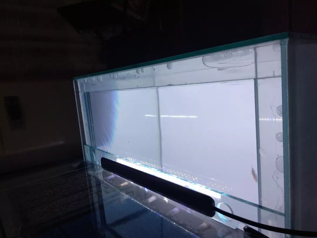 大神「鱼勇」DIY一缸多用“直播”教程，好缸无需再等