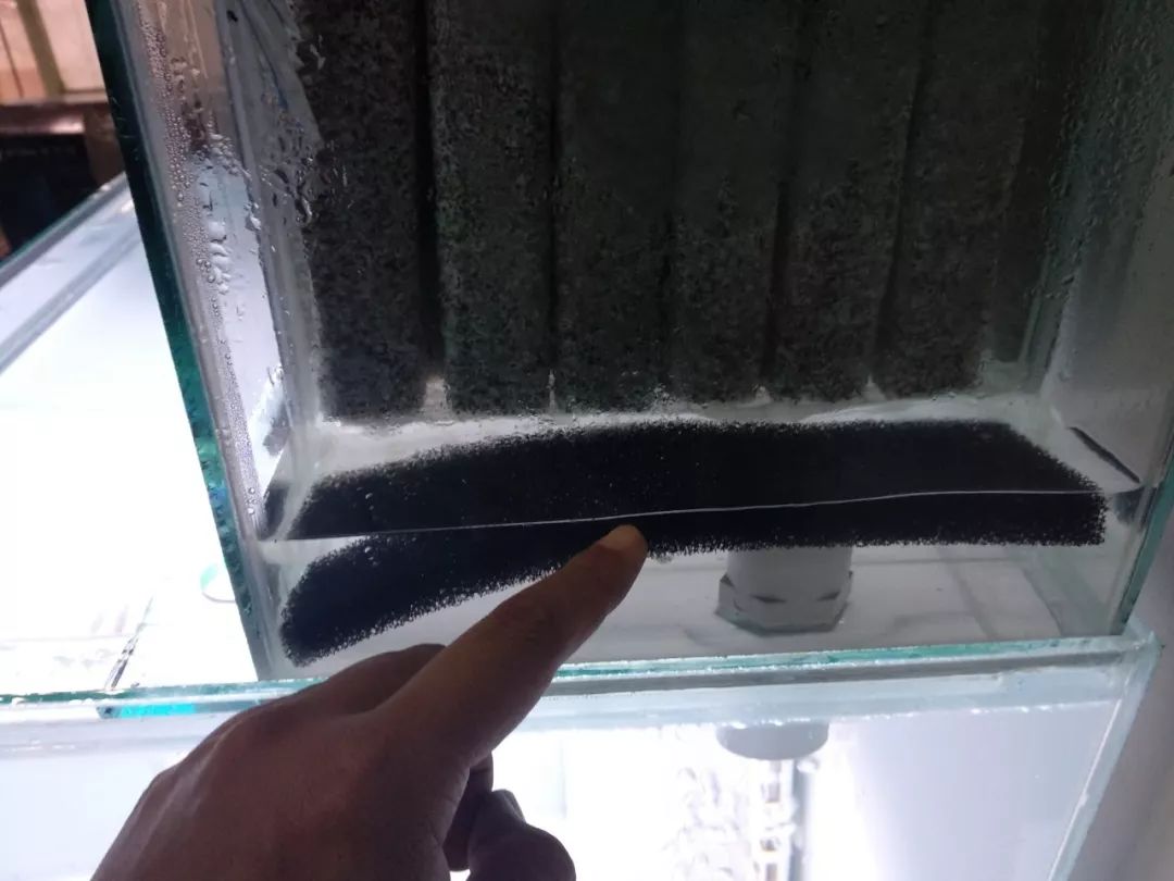 大神「鱼勇」DIY一缸多用“直播”教程，好缸无需再等