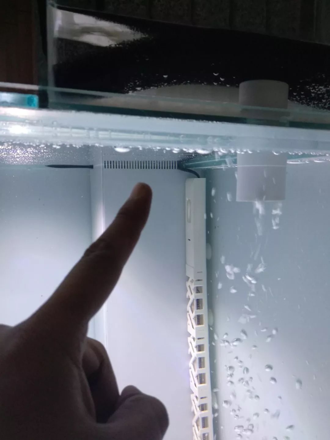 大神「鱼勇」DIY一缸多用“直播”教程，好缸无需再等