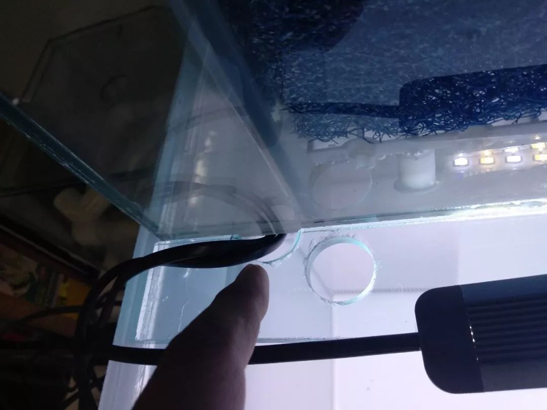 大神「鱼勇」DIY一缸多用“直播”教程，好缸无需再等