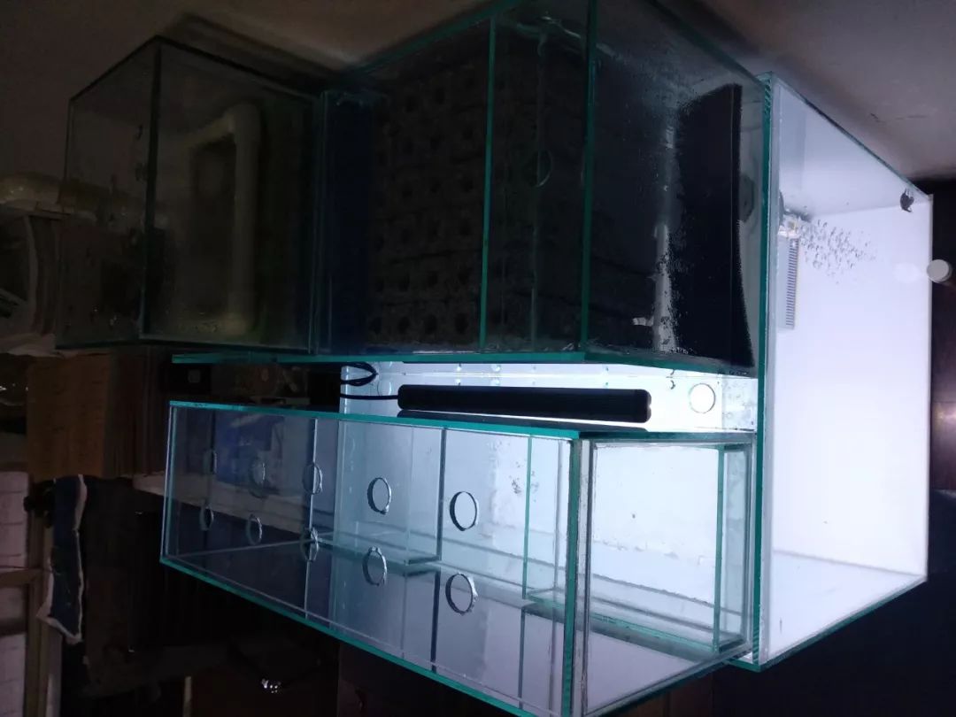 大神「鱼勇」DIY一缸多用“直播”教程，好缸无需再等