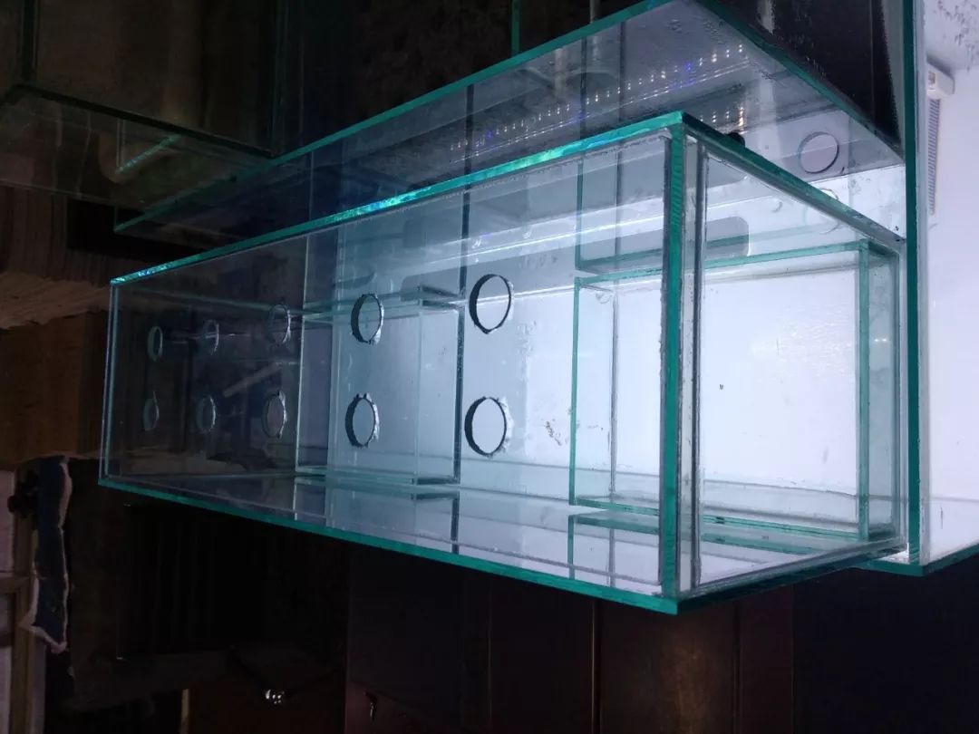 大神「鱼勇」DIY一缸多用“直播”教程，好缸无需再等