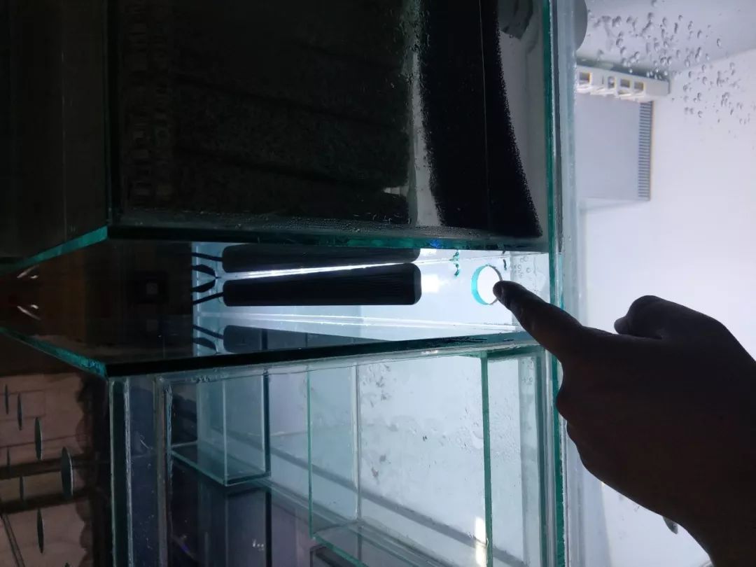 大神「鱼勇」DIY一缸多用“直播”教程，好缸无需再等