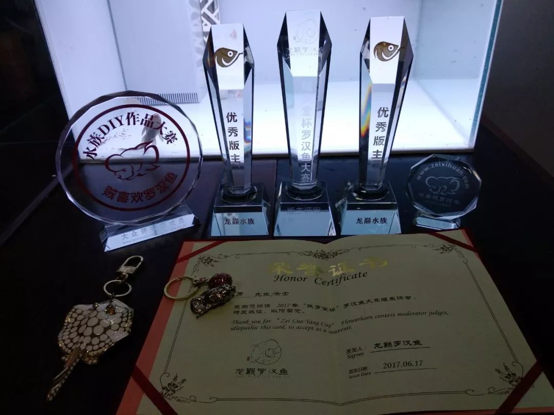 大神「鱼勇」DIY一缸多用“直播”教程，好缸无需再等