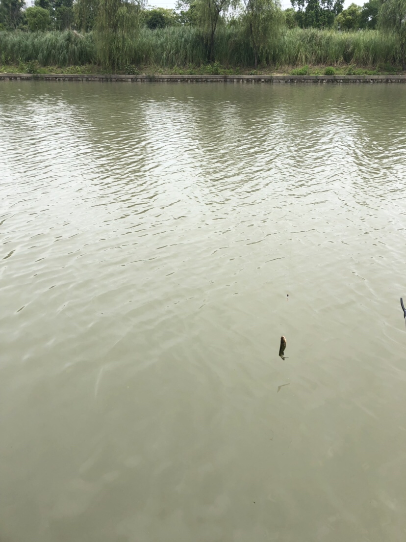 风大浪大好钓海鱼吗,风大浪大钓底还是钓浮