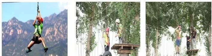 北京市月季文化节开幕式,百合节开幕时间