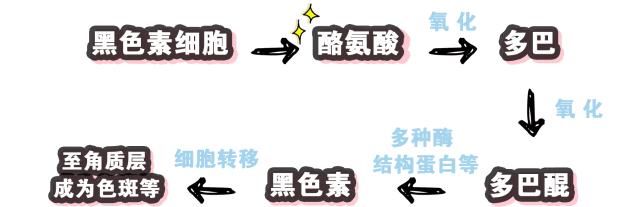 粉丝提问|喂，007吗？这里有377