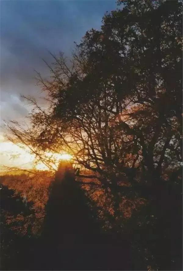 朋友关系再好五样东西不能借,朋友关系再好有些事也万万不能做