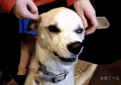 耳朵发烧有什么征兆,耳朵发烧是有人想你吗