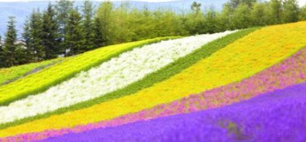 北海道特价团,北海道旅游团七日纯玩团