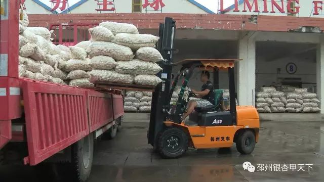 今天,人民网聚焦邳州:小蒜头撬动百亿级大产业