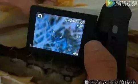 可怕的床垫,睡了10年的床垫拆开全是垃圾