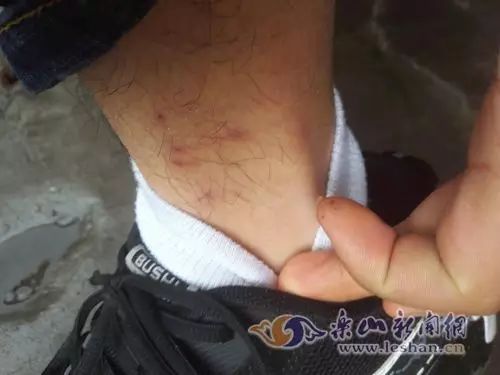 可怕的床垫,睡了10年的床垫拆开全是垃圾