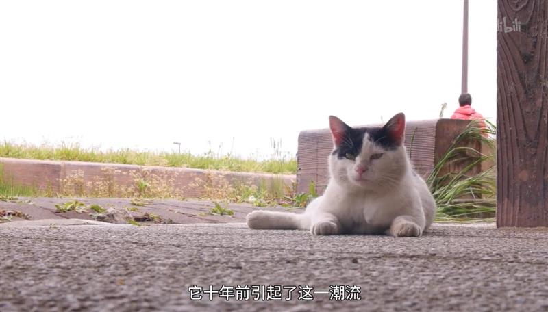 55寸真4K小米全面屏电视深度评测：2199元舍我其谁