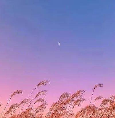 荐读六种人值得深交,荐读让你脱颖而出的4种能力