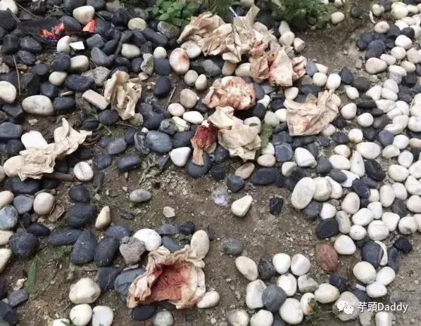 警方回应金毛犬案最新进展！顺德金毛咬死贵宾被打死视频打死金毛者身份信息曝光