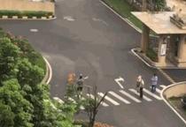 警方回应金毛犬案最新进展！顺德金毛咬死贵宾被打死视频打死金毛者身份信息曝光