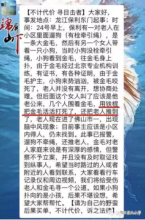 警方回应金毛犬案最新进展！顺德金毛咬死贵宾被打死视频打死金毛者身份信息曝光