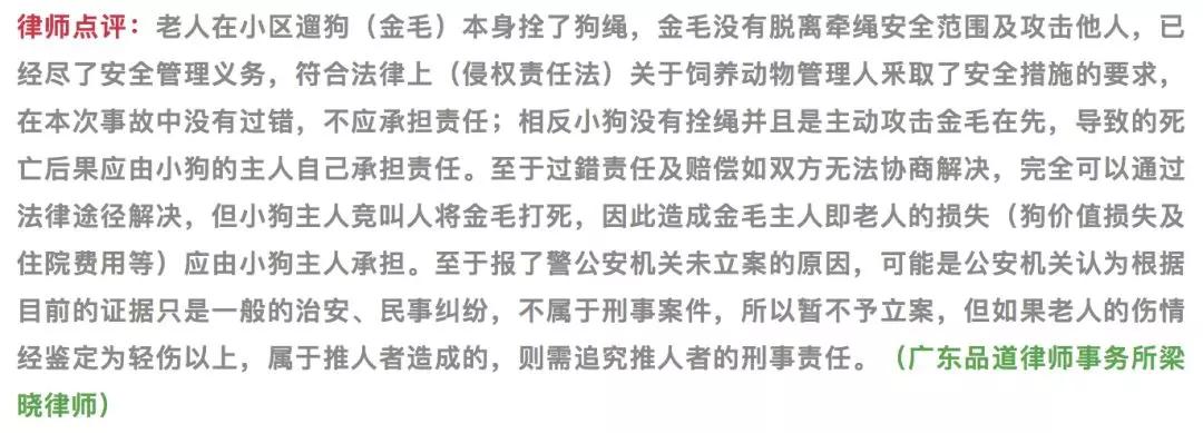 警方回应金毛犬案最新进展！顺德金毛咬死贵宾被打死视频打死金毛者身份信息曝光