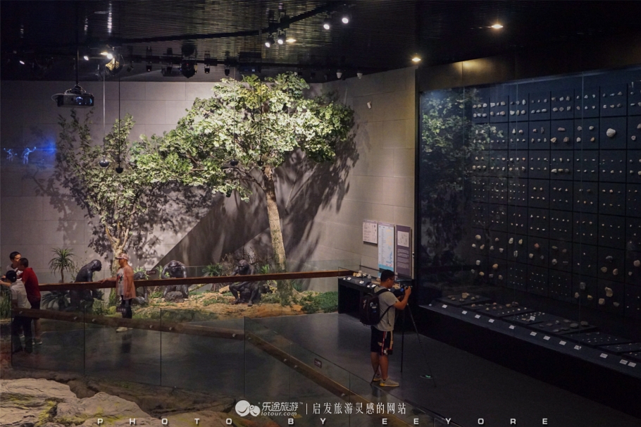 鎴垮北瀵诲彜涔嬫梾,鎴垮北瀵诲彜鎺㈠菇