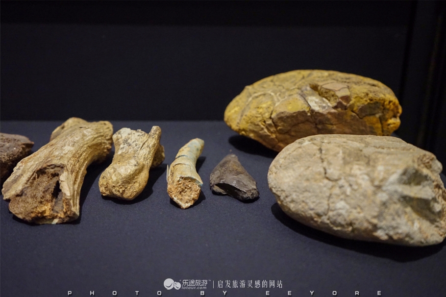 鎴垮北瀵诲彜涔嬫梾,鎴垮北瀵诲彜鎺㈠菇