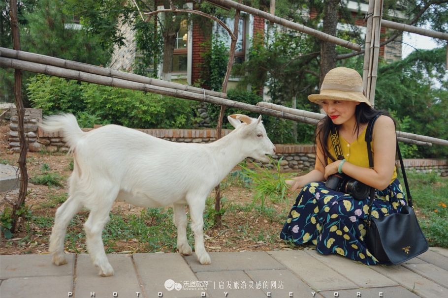 鎴垮北瀵诲彜涔嬫梾,鎴垮北瀵诲彜鎺㈠菇