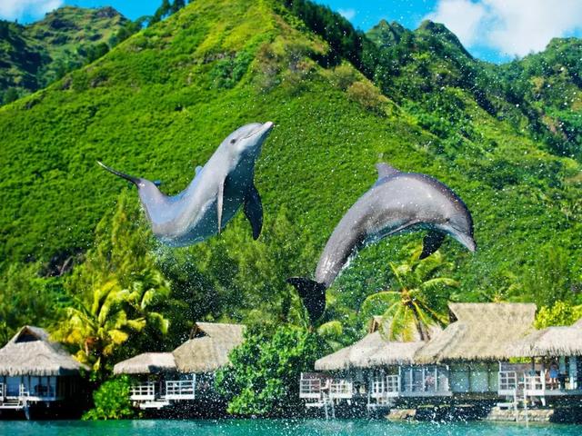 世界各地旅行的情侣,全球旅行情侣