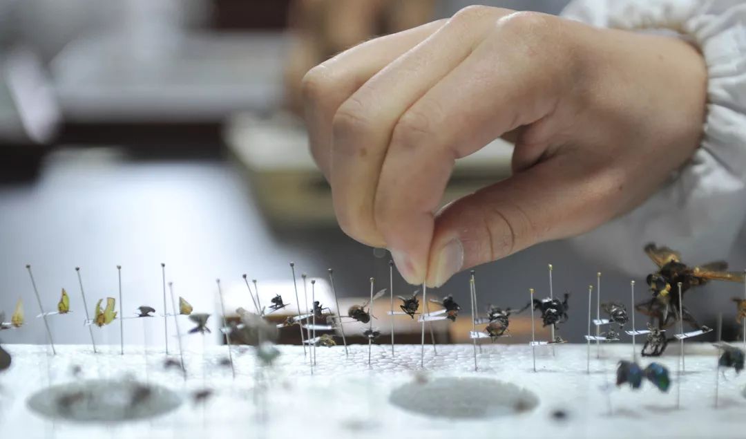 百万医疗避坑指南,价值千万选股技巧