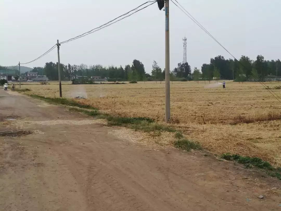 第一书记是支部第一书记吗,驻村第一书记和支部第一书记