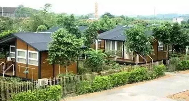 玉林文化旅游规划,广西68个重大文化旅游项目