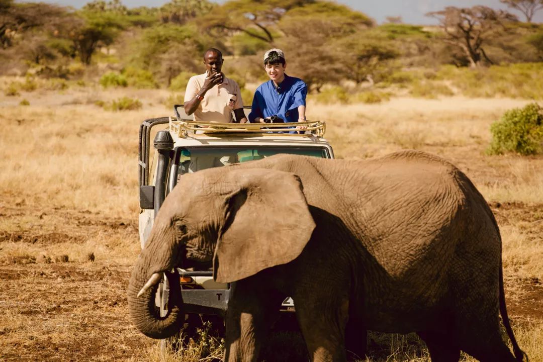 张若昀唐艺昕伴郎刘昊然,唐艺昕张若昀刘昊然当伴郎