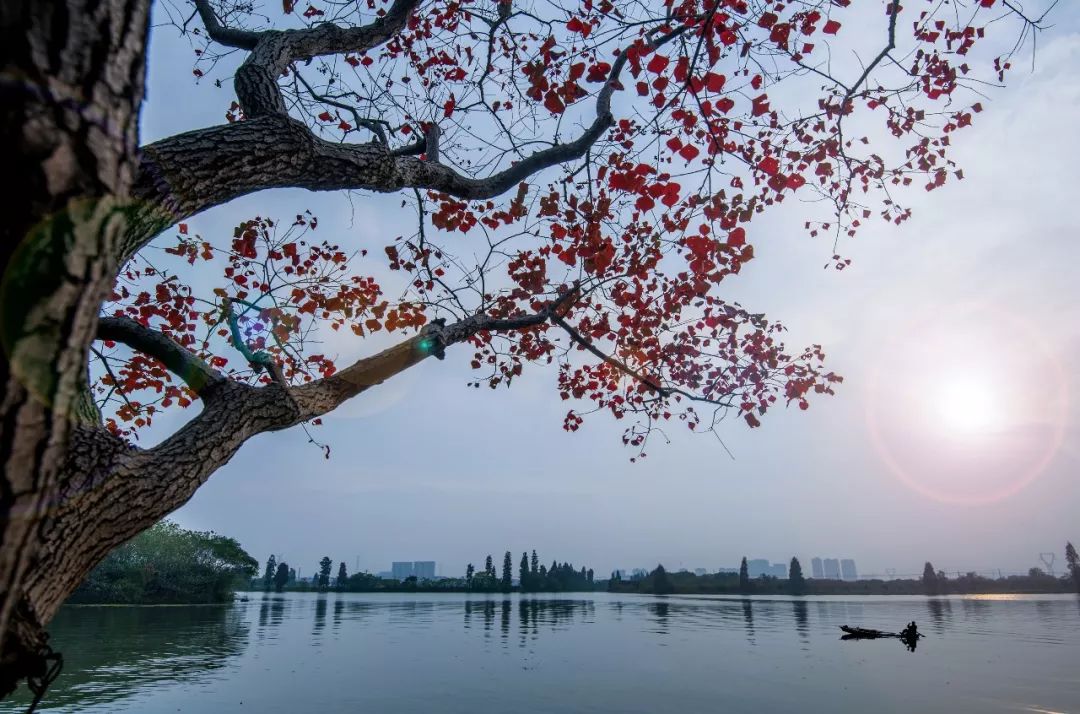 元稹十首千古绝诗,元稹千古佳句