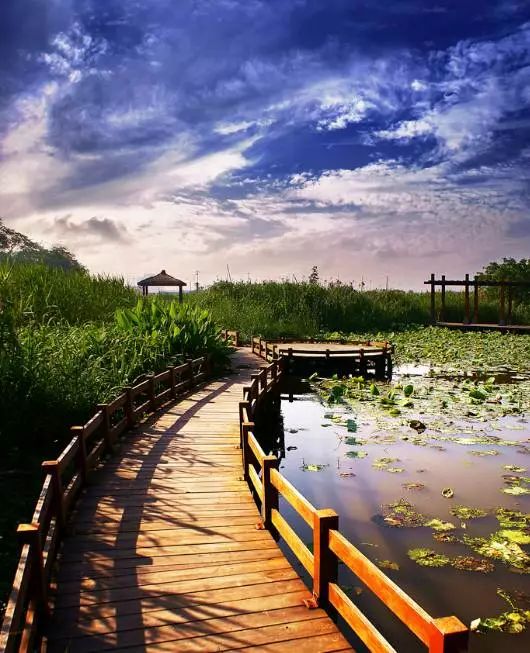 元稹十首千古绝诗,元稹千古佳句