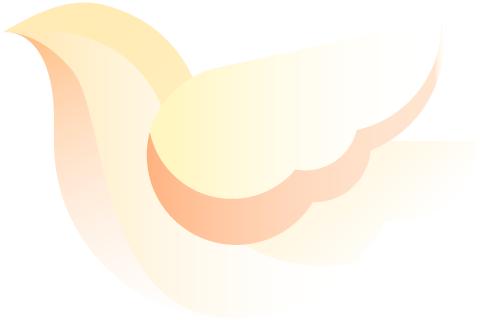 2021圆梦杯青少年足球赛,梧州8月青少年足球比赛