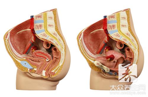 龟发黑是什么病引起的,龟缸水发黑的原因