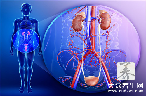 尿道黏膜损伤用什么药,尿道黏膜损伤吃什么好