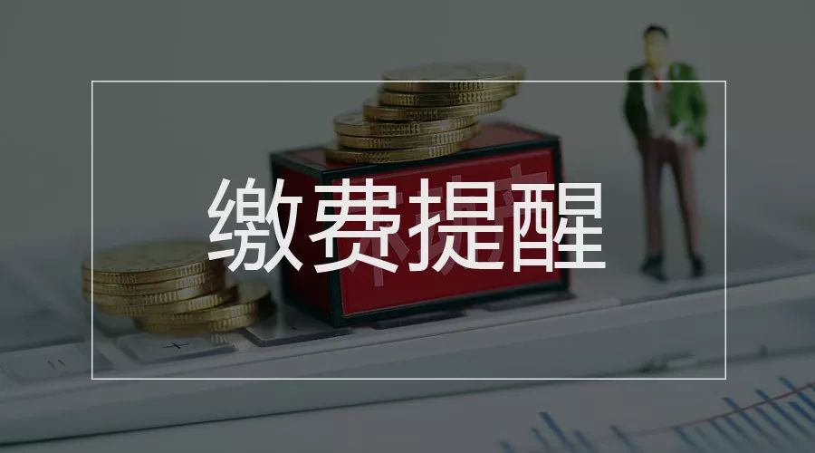 今年填报志愿政策,今年志愿填报需要提醒哪些内容