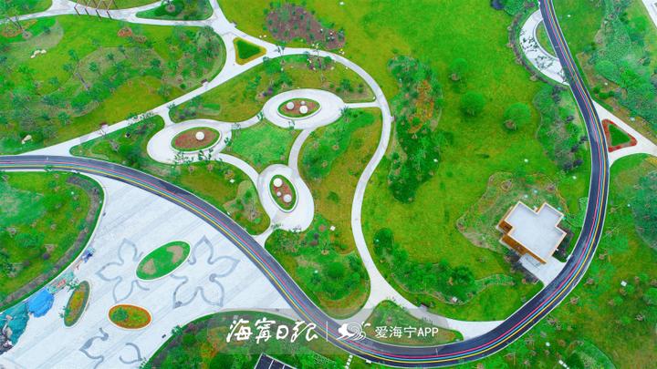 阳光大草坪,阳光大草坪在哪