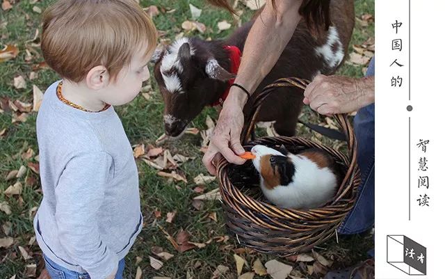 你见过最惊艳的家庭教育,父母令人惊艳的教育方式知乎