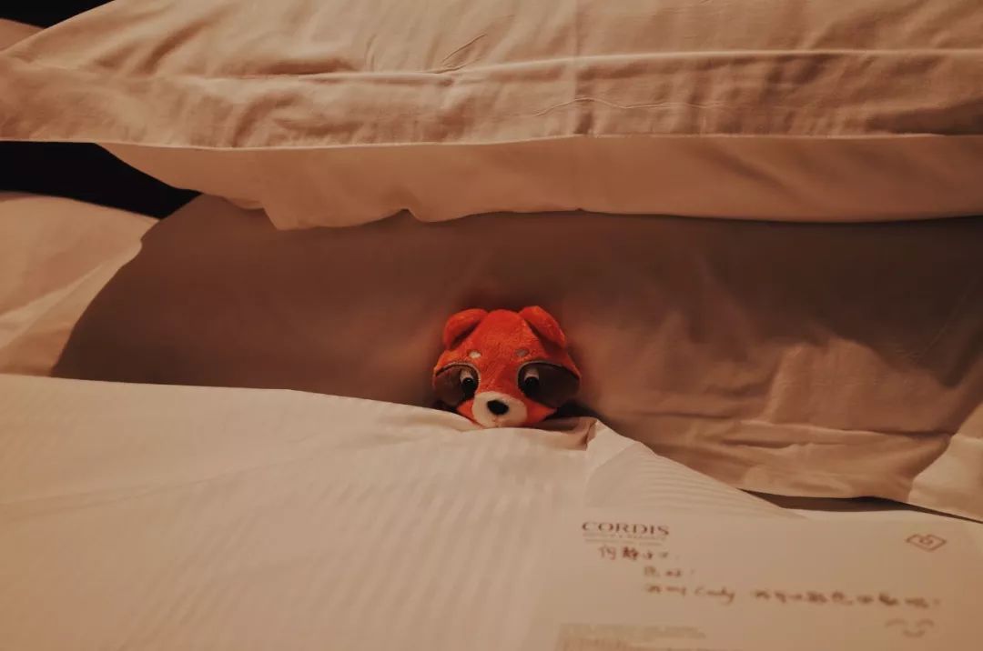 东钱湖康得思酒店康体中心,宁波东钱湖康得思酒店庭院房