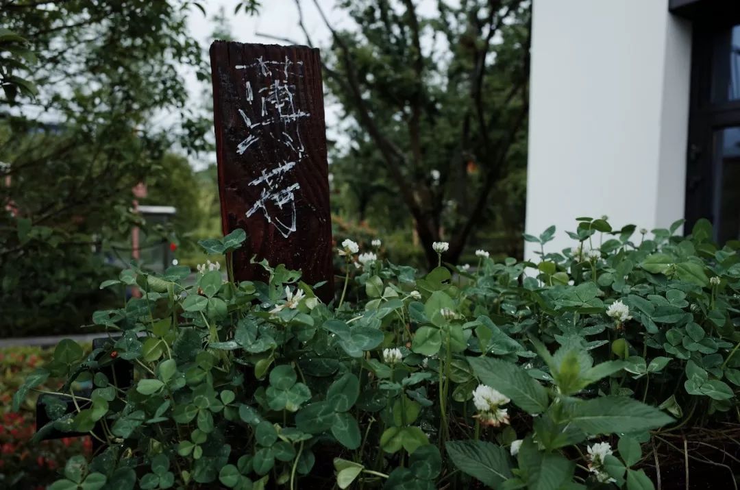 东钱湖康得思酒店康体中心,宁波东钱湖康得思酒店庭院房