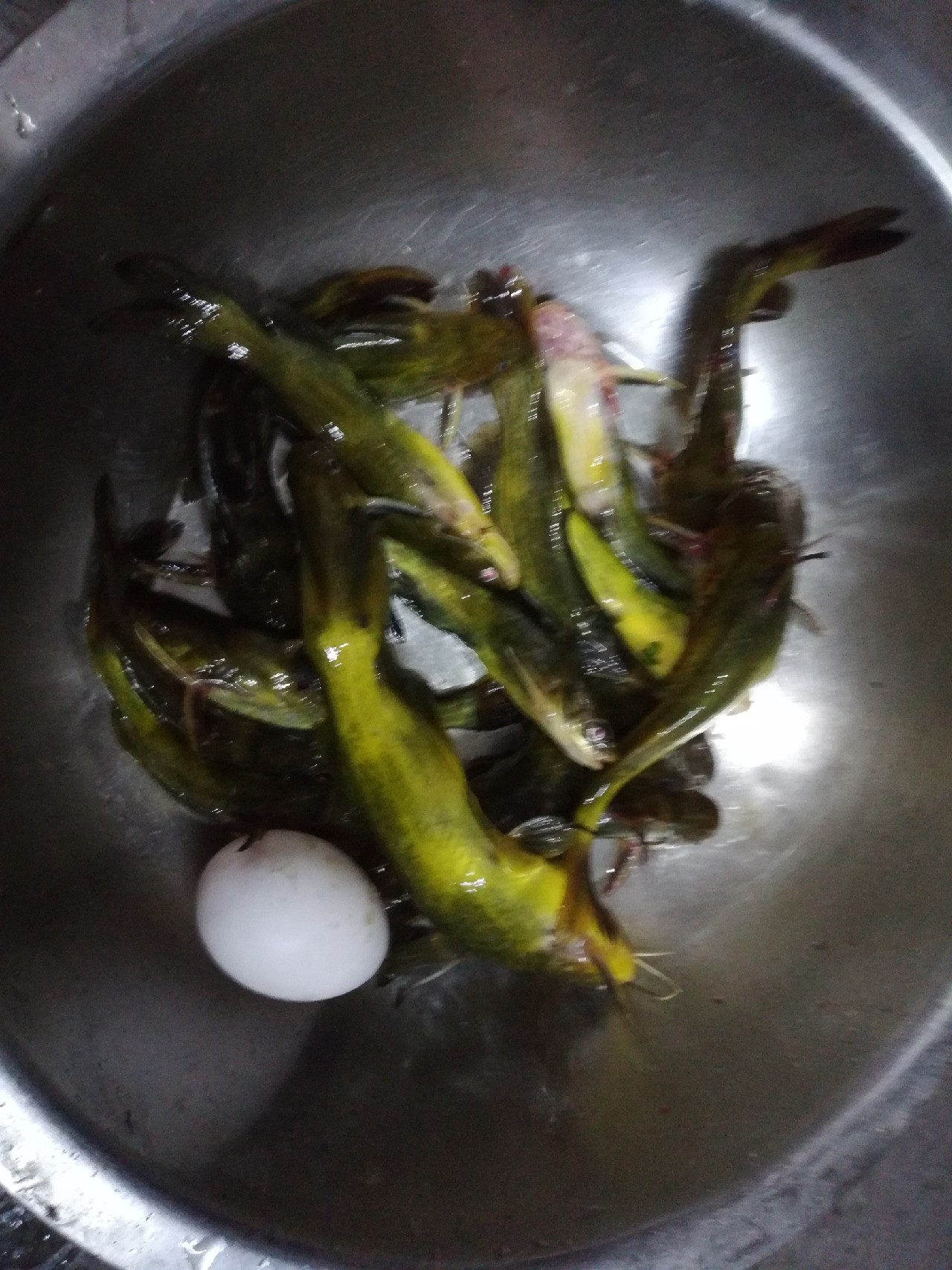 雨中奋战足球,雨中奋战