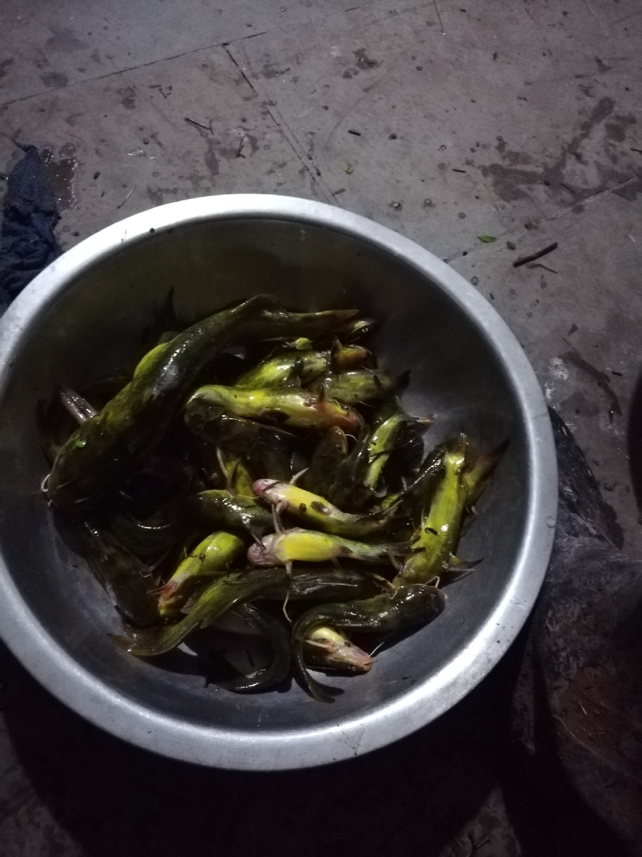 雨中奋战足球,雨中奋战