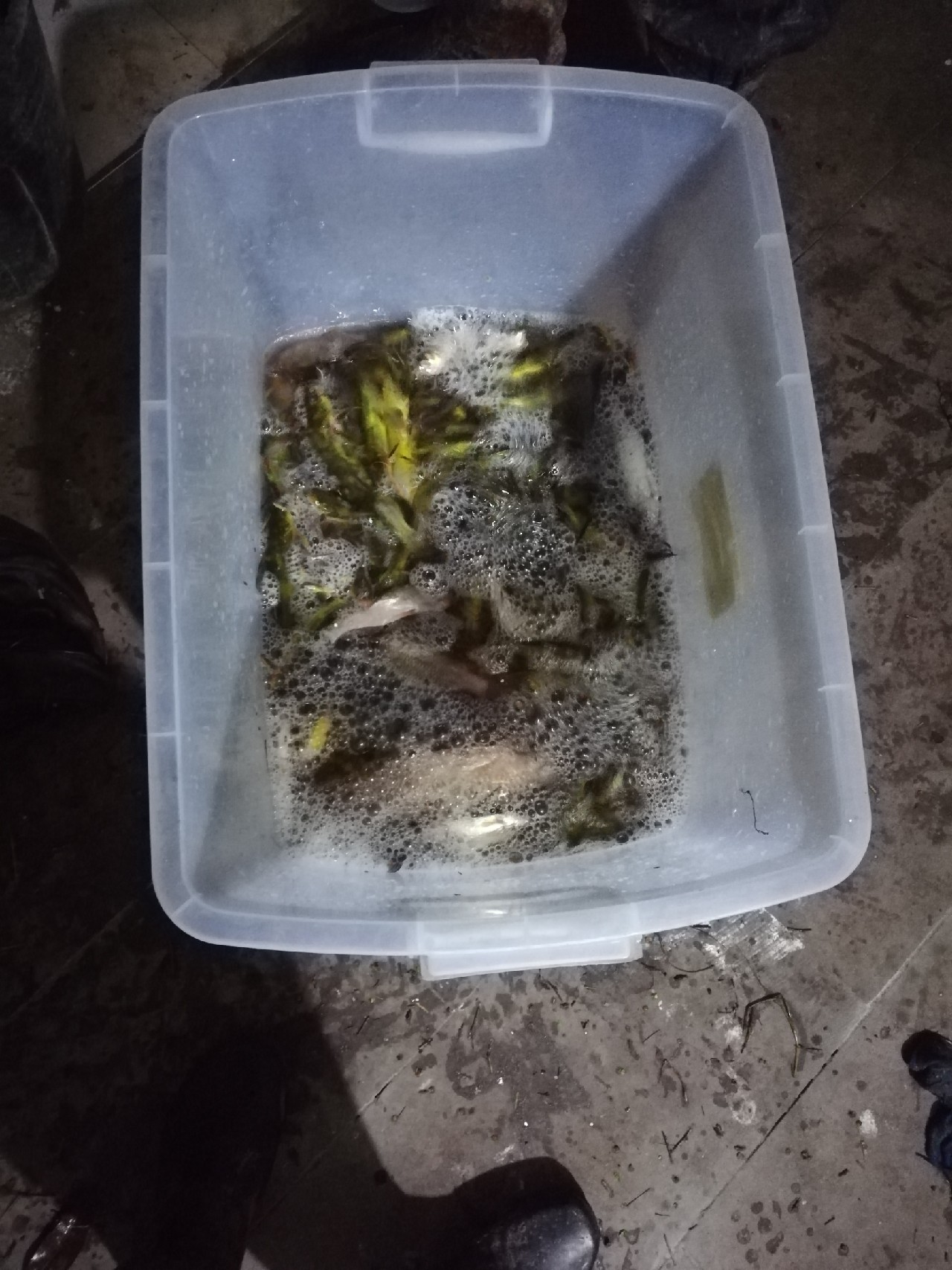 雨中奋战足球,雨中奋战