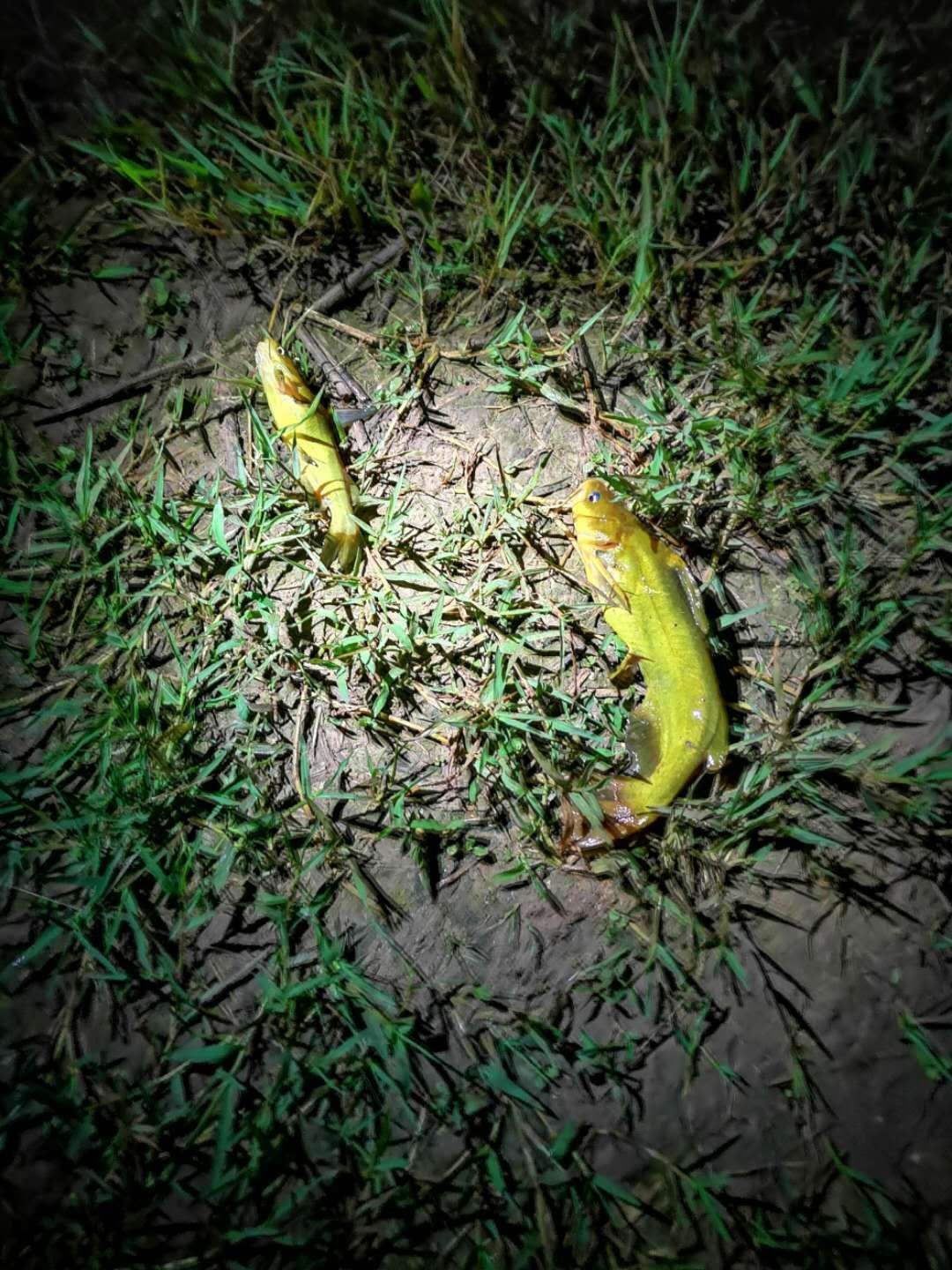 雨中奋战足球,雨中奋战