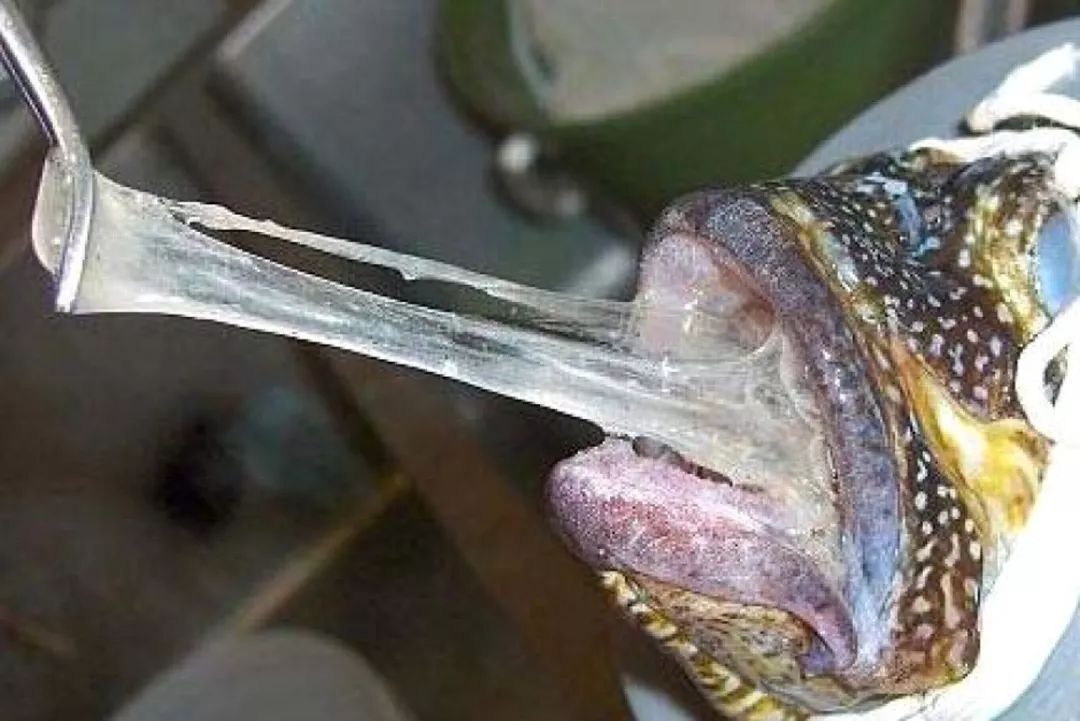 当一个东西黏糊糊的,这到底为了什么?